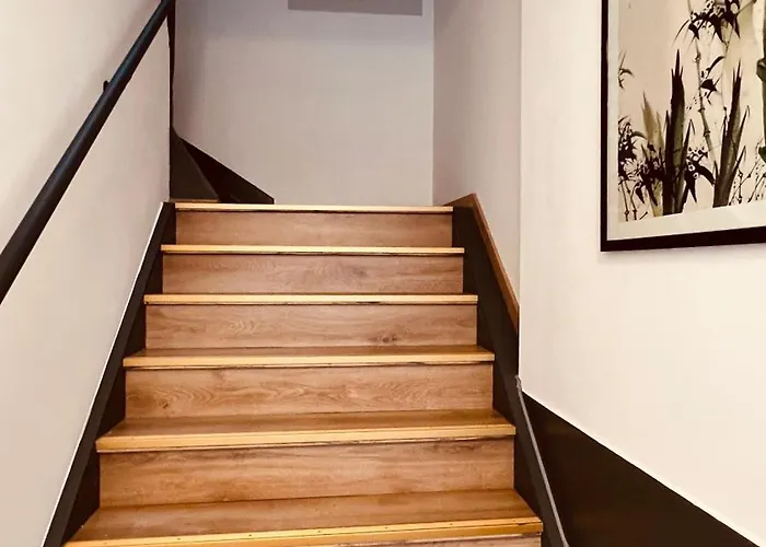 Salzinneschezsoi 1 نامور